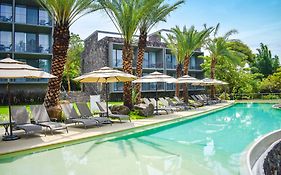 Huayacán Cuernavaca Curamoria Collection